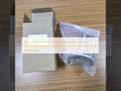 Kit di manutenzione valvola di aspirazione di ricambio Atlas 2901200652 Parti di compressori d'aria a vite di alta qualità all'ingrosso